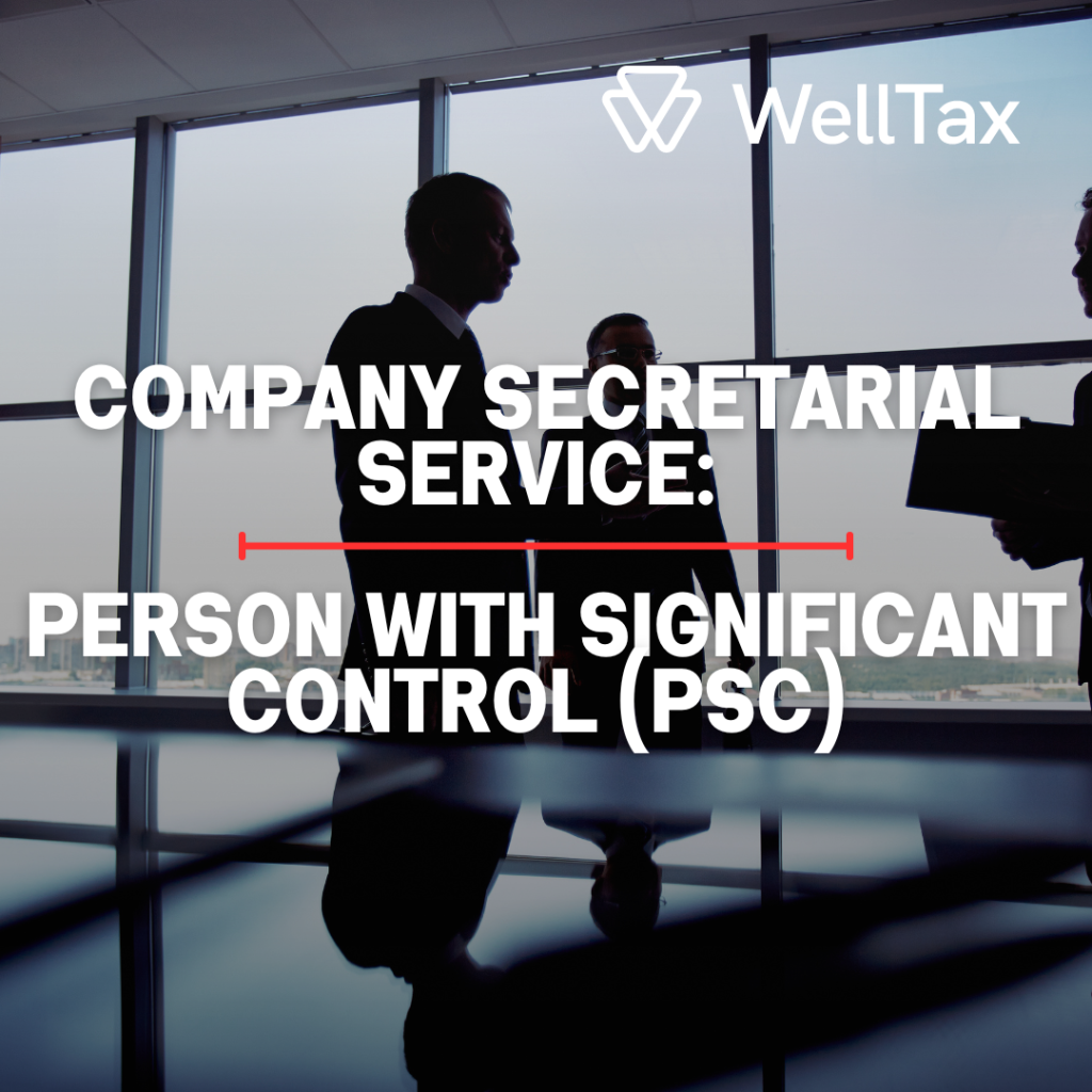 company secretarial services