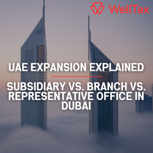 UAE subsidiary company formation
